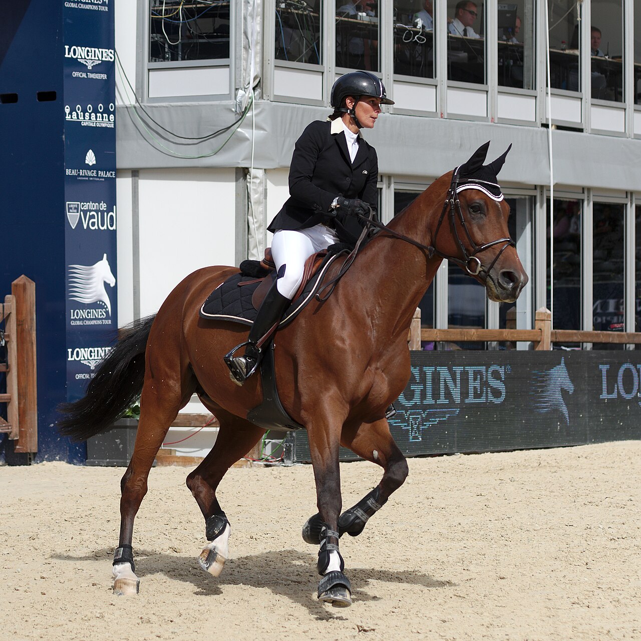 Before photo of a brown show horse with rider in an equestrian arena
